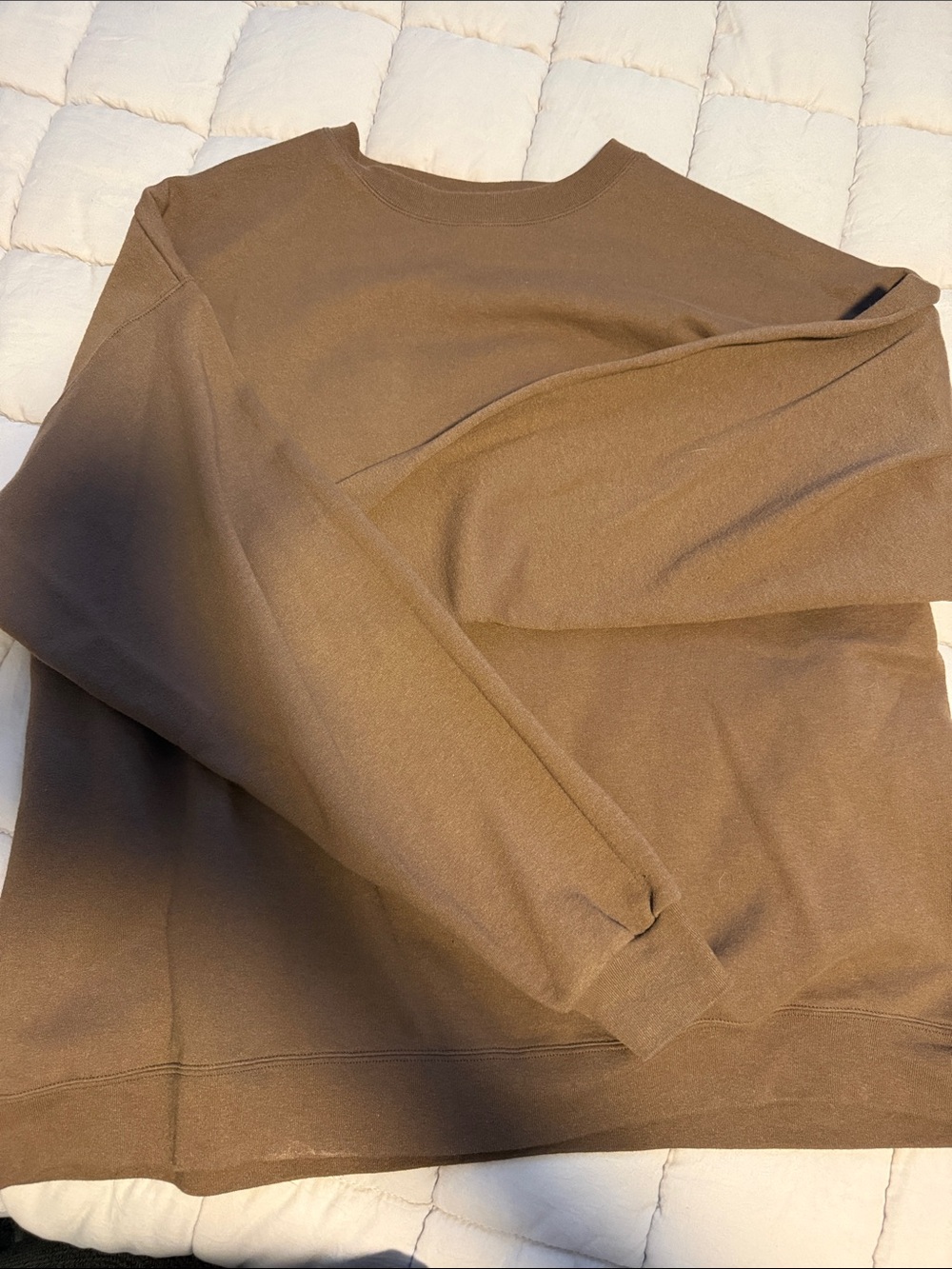 Hanes Men's Crewneck Sweater in Brown